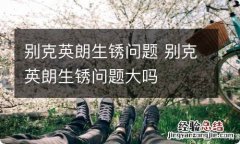 别克英朗生锈问题 别克英朗生锈问题大吗