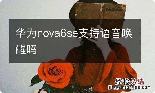 华为nova6se支持语音唤醒吗