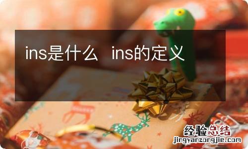 ins是什么ins的定义