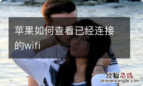 苹果如何查看已经连接的wifi