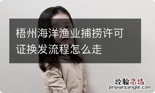 梧州海洋渔业捕捞许可证换发流程怎么走