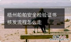 梧州船舶安全检验证书核发流程怎么走