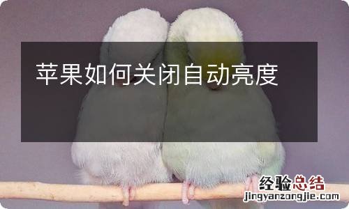 苹果如何关闭自动亮度