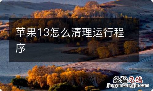 苹果13怎么清理运行程序