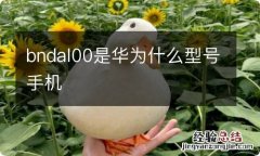 bndal00是华为什么型号手机