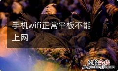 手机wifi正常平板不能上网