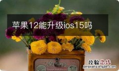 苹果12能升级ios15吗