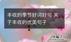 丰收的季节好词好句 关于丰收的优美句子