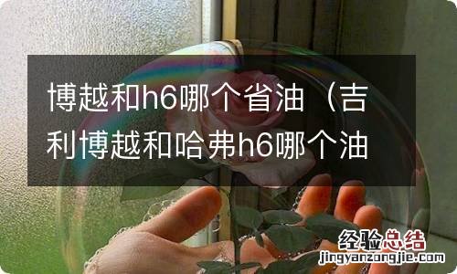吉利博越和哈弗h6哪个油耗高 博越和h6哪个省油