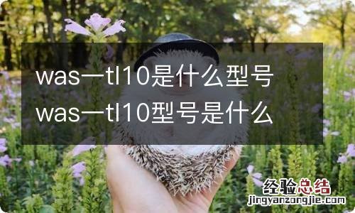 was一tl10是什么型号 was一tl10型号是什么