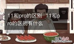 11和pro的区别11和pro的区别有什么