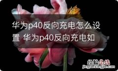 华为p40反向充电怎么设置 华为p40反向充电如何设置