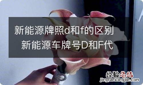 新能源牌照d和f的区别新能源车牌号D和F代表什么意思