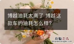 博越油耗太高了 博越这款车的油耗怎么样?