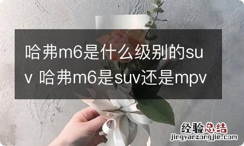 哈弗m6是什么级别的suv 哈弗m6是suv还是mpv