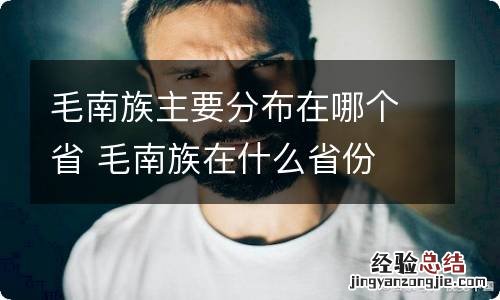 毛南族主要分布在哪个省 毛南族在什么省份