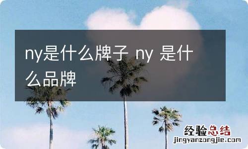 ny是什么牌子 ny 是什么品牌