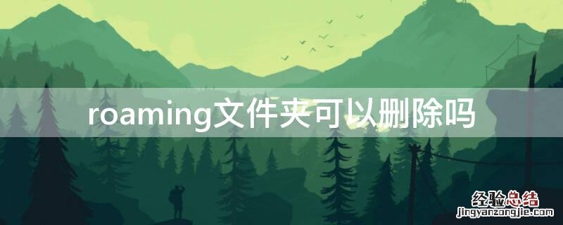 roaming文件夹可以删除吗