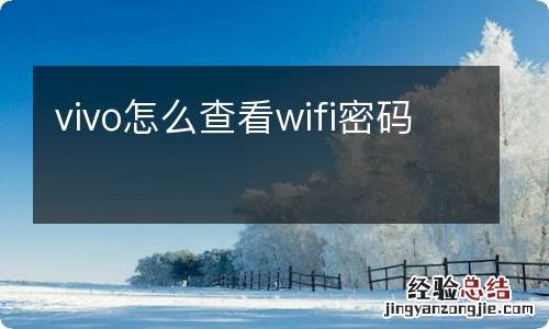 vivo怎么查看wifi密码