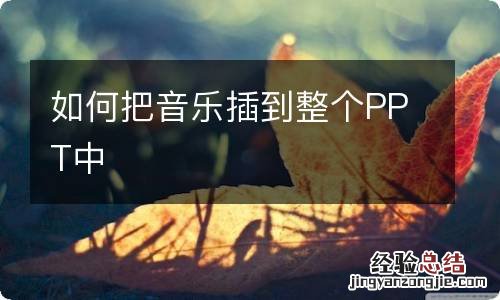 如何把音乐插到整个PPT中