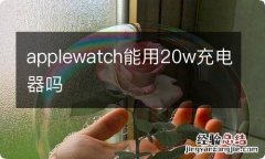 applewatch能用20w充电器吗