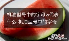 机油型号中的字母w代表什么 机油型号中的字母w代表什么意思