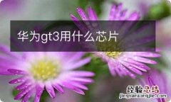 华为gt3用什么芯片