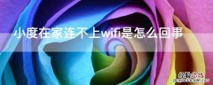 小度在家连不上wifi是怎么回事