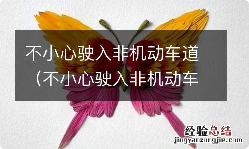 不小心驶入非机动车道马上开入机动车道 不小心驶入非机动车道