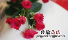 34朵玫瑰花代表什么意思 34朵玫瑰花代表什么