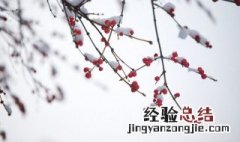 小雪节气的简单介绍 小雪大雪节气介绍