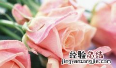 六朵玫瑰花代表什么意思 六朵玫瑰花的意思是什么