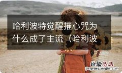 哈利波特觉醒魔咒 哈利波特觉醒摧心咒为什么成了主流