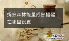 蚂蚁森林能量成熟提醒在哪里设置