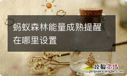 蚂蚁森林能量成熟提醒在哪里设置