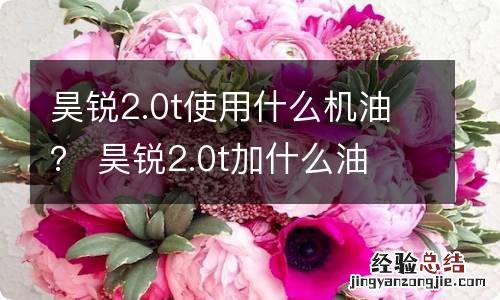 昊锐2.0t使用什么机油？ 昊锐2.0t加什么油