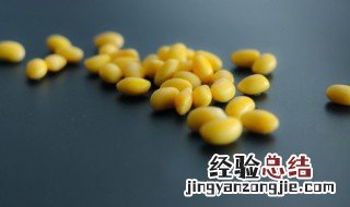 黄豆做豆腐要泡多久 黄豆泡24小时还能做豆腐吗