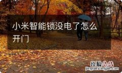 小米智能锁没电了怎么开门