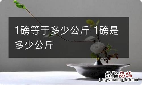 1磅等于多少公斤 1磅是多少公斤