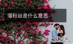 溜粉丝是什么意思