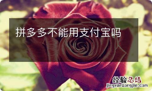 拼多多不能用支付宝吗