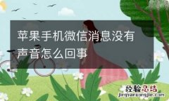 苹果手机微信消息没有声音怎么回事