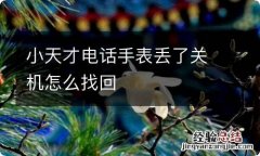 小天才电话手表丢了关机怎么找回