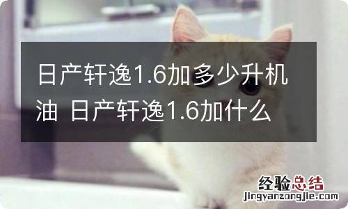 日产轩逸1.6加多少升机油 日产轩逸1.6加什么型号机油最合适