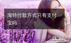 淘特付款方式只有支付宝吗