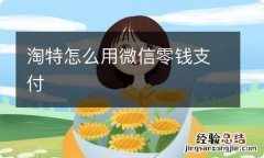 淘特怎么用微信零钱支付