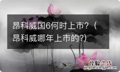 昂科威哪年上市的? 昂科威国6何时上市?