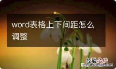 word表格上下间距怎么调整