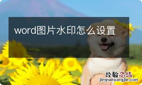 word图片水印怎么设置