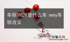 车标WEY是什么车 wey车标含义